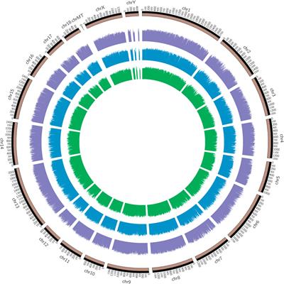 Combined Analysis of RRBS DNA Methylome and Transcriptome Reveal Novel Candidate Genes Related to Porcine Clostridium perfringens Type C-Induced Diarrhea